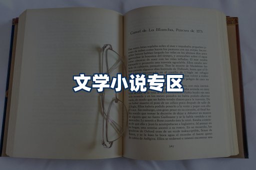文学小说PDF展示